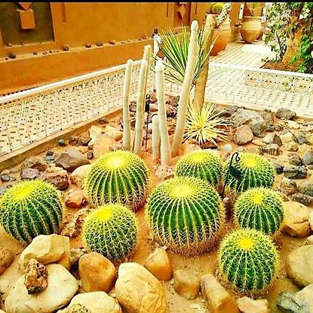 Riad Dar Sofian Hotel Zagora Exterior foto