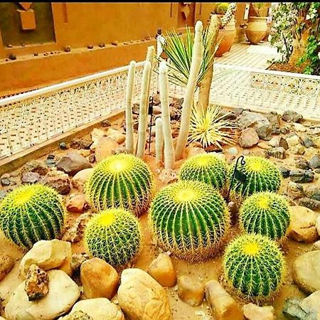Riad Dar Sofian Zagora Exterior foto