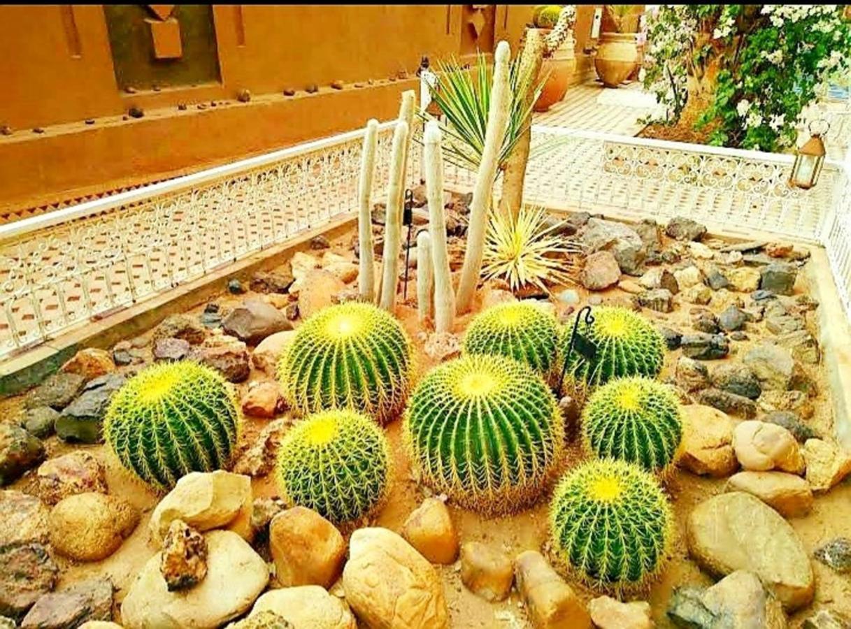 Riad Dar Sofian Hotel Zagora Exterior foto