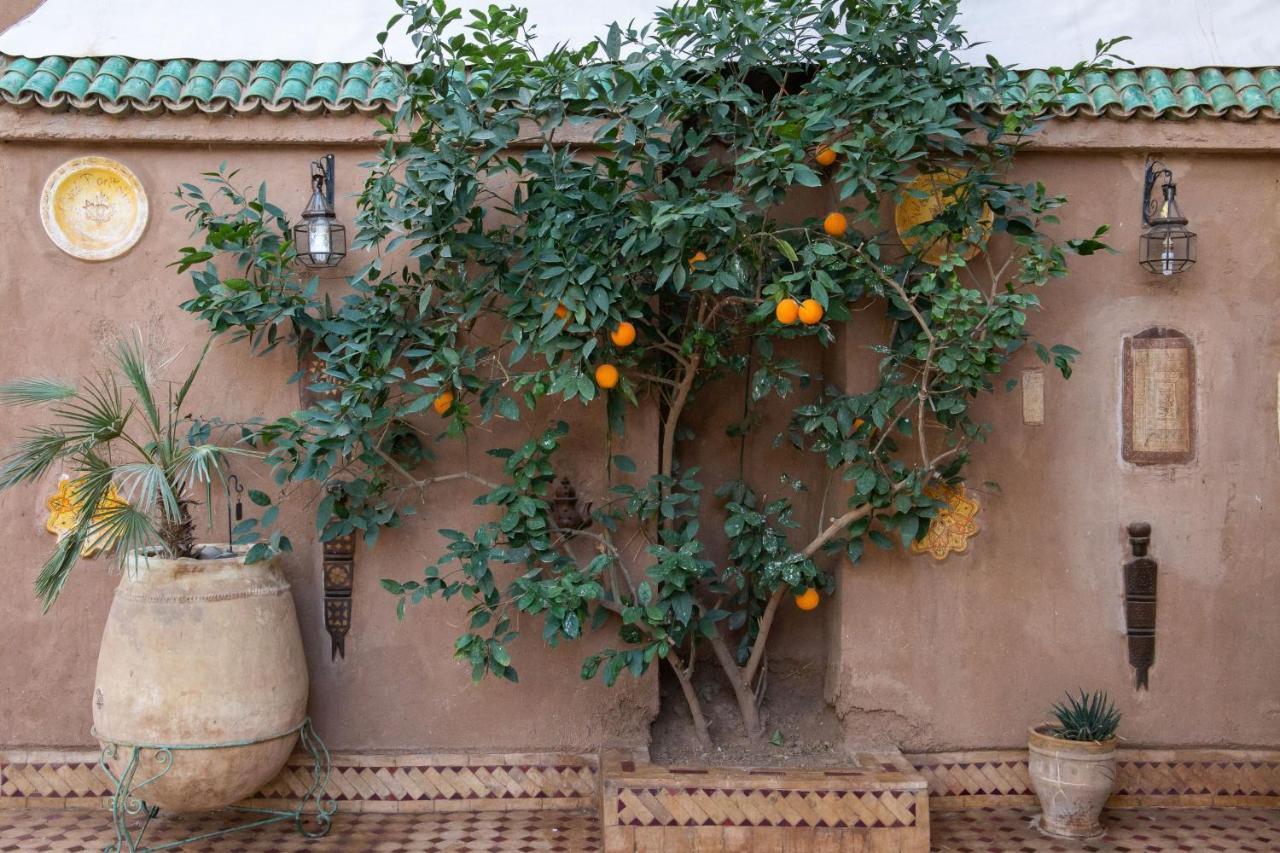 Riad Dar Sofian Hotel Zagora Exterior foto